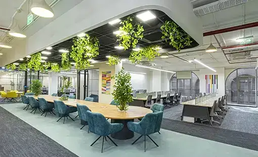 Triveni Grande Images